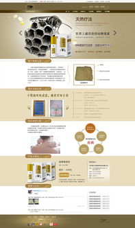 網(wǎng)頁(yè)設(shè)計(jì)指南 從初稿到專業(yè)作品的進(jìn)階之路